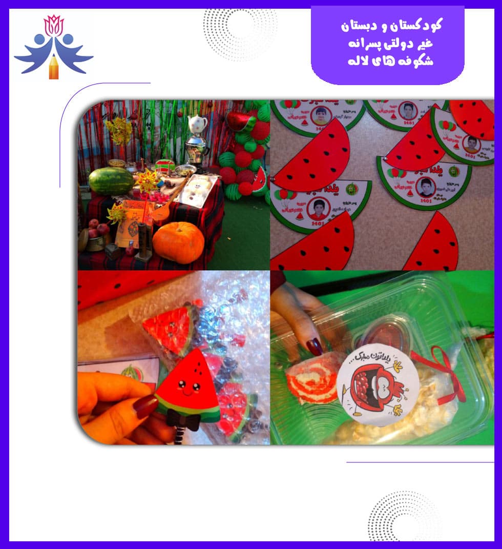 کودکستان و دبستان غیر دولتی شکوفه های لاله