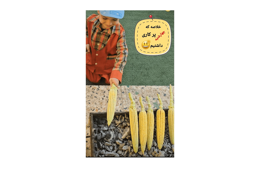 آموزش مهارتهای زندگی